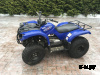 Квадроцикл Grizzly 125