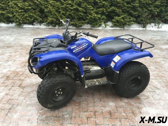 Квадроцикл Grizzly 125
