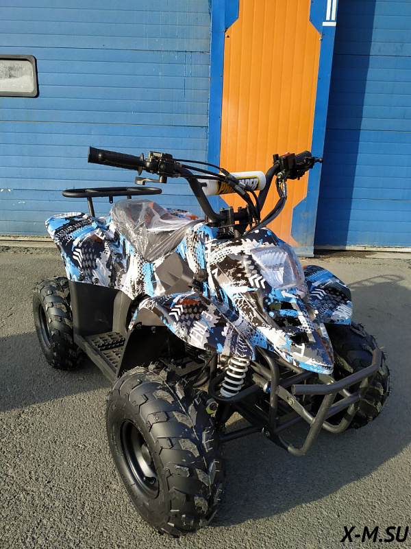 Квадроцикл RAPTOR 110