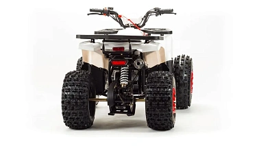 Квадроцикл MOTOLAND (МОТОЛЕНД) 125 WILD