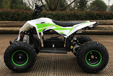 Детский электро квадроцикл MOTAX GEKKON 1300W