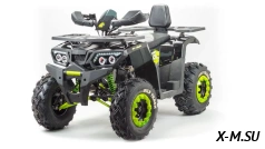 Квадроцикл PROMAX WILD 300 LUX (2024)