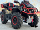 Квадроцикл AODES PATHCROSS MAX 1000 MUD PRO XE LCD двухместный (RATTLESNAKE)