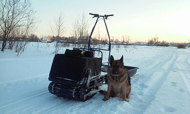 Мотобуксировщик ЮКОН 500 СТАНДАРТ 9 л.с.