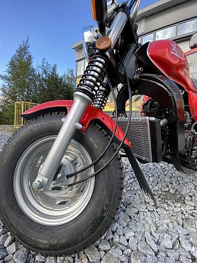 Трицикл PROMAX (LIFAN) FERMER 300 PRO (воздушное охлаждение)