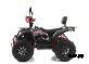 Квадроцикл GBM SHARP BIG 300 NEW PREMIUM