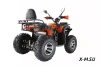 Квадроцикл YACOTA SELA MAX 200
