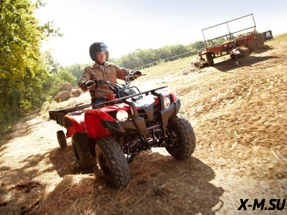 Квадроцикл YAMAHA REPLIKA Segway 300