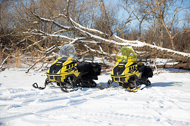 Снегоход Рыбак Торос 600S 800Pro