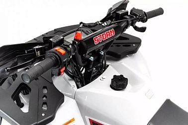 Квадроцикл MOTOLAND (МОТОЛЕНД) 125 STORM A