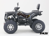 Квадроцикл Nishman 250 PRO L