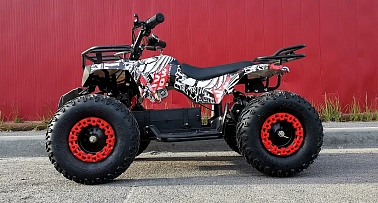 Квадроцикл PROMAX E-MINI 2.0 1000W