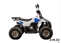 Квадроцикл Yacota Raposa 130 PRO-SPORT