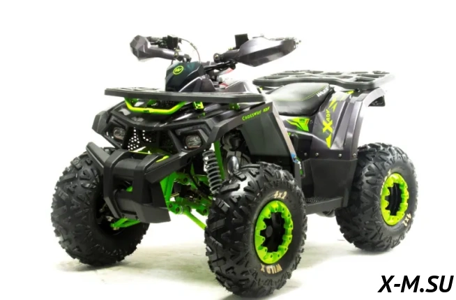 Квадроцикл MOTOLAND (МОТОЛЕНД) 125 WILD X А