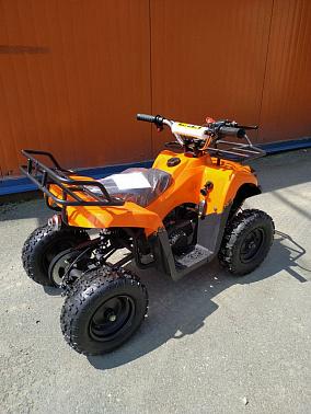 Квадроцикл Grizzly 50