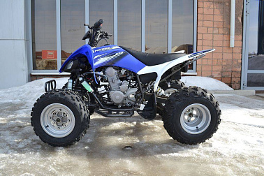 Квадроцикл MOTOLAND (МОТОЛЕНД) 250S