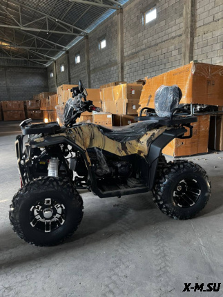 Квадроцикл ATV X-7 200cc (Задний привод)