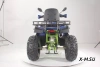 Квадроцикл YACOTA SELA MAX 200