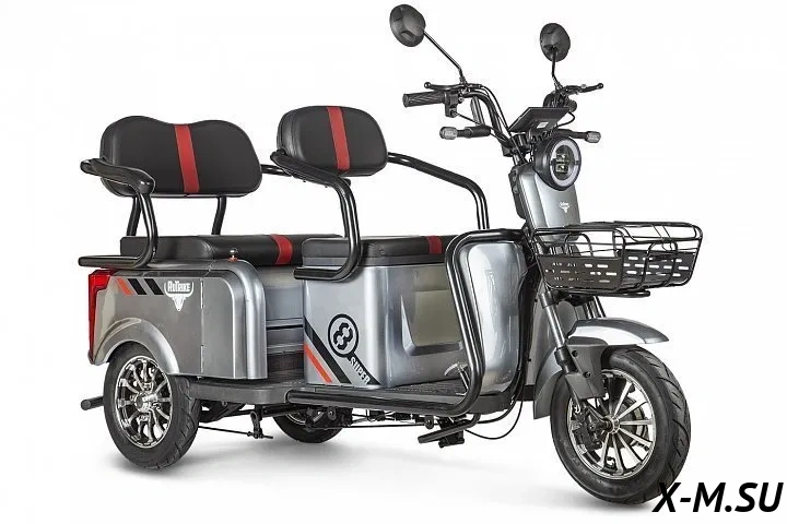 Трицикл ELTRECO Rutrike Экипаж