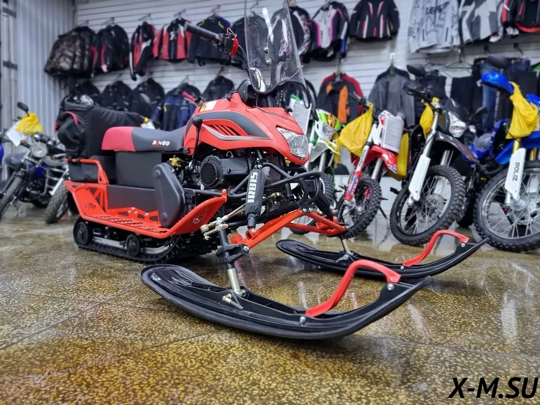Снегоход IRBIS DINGO T200 XE 25/26 NEW