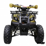 Квадроцикл ATV Termit TT