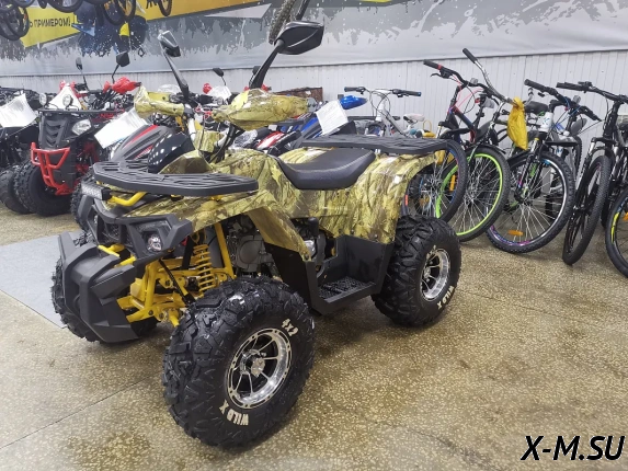 Квадроцикл PROMAX STORM 190 PRO