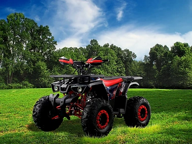 Квадроцикл PROMAX WILD 190 PRO-LINE