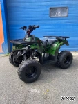 Квадроцикл RAPTOR max 125