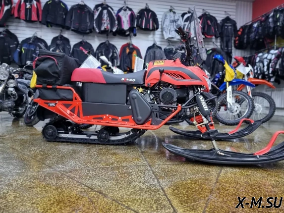 Снегоход IRBIS DINGO T200 XE 25/26 NEW