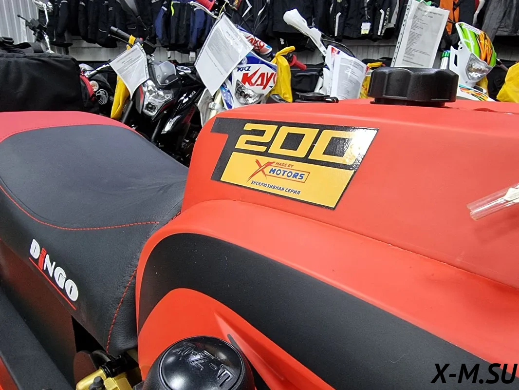 Снегоход IRBIS DINGO T200 XE 25/26 NEW