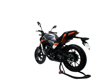 Мотоцикл TMBK MONTANA 250 (165 FMM)