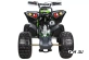 Квадроцикл YACOTA RENEGADE