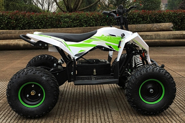 Детский электро квадроцикл MOTAX GEKKON 1300W