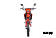Кроссовый мотоцикл PROCIDA CRF PR300 (BNK-B19)