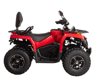 Квадроцикл Bizon YK250 LUX EFI