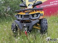 Квадроцикл PROMAX STORM 300сс LUX