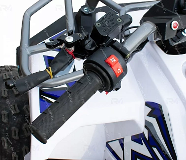 Квадроцикл REGILMOTO HAMMER 125