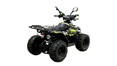 Квадроцикл Bison Eagle 110
