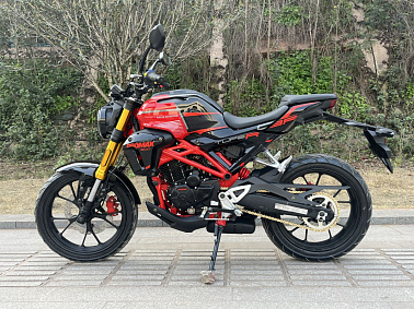 Мотоцикл PROMAX CB300 EFI