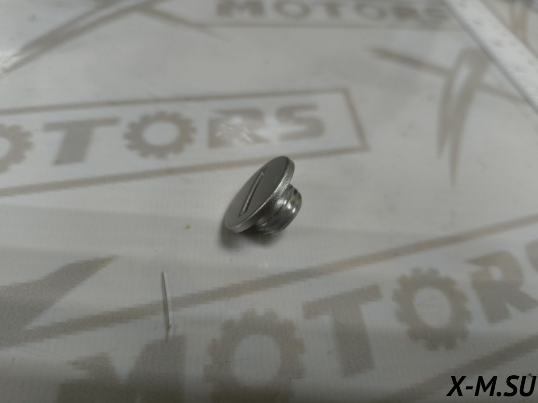 Пробка клапанной крышки_Пробка крышки генератора 1P75CVT-PRO