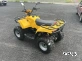 Квадроцикл IRBIS ATV 250