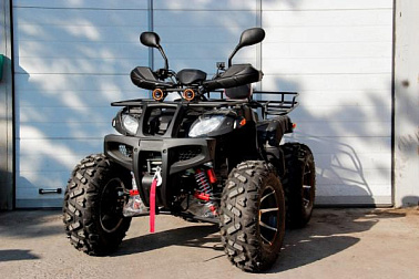 Квадроцикл Grizzly 250