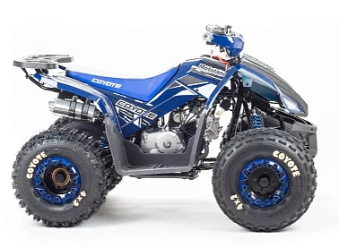 Квадроцикл MOTOLAND (МОТОЛЕНД) 125 COYOTE