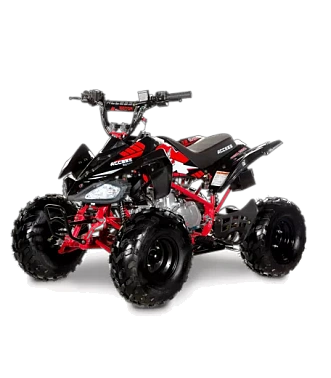 Квадроцикл ACCESS AMS 110 MINISPORT