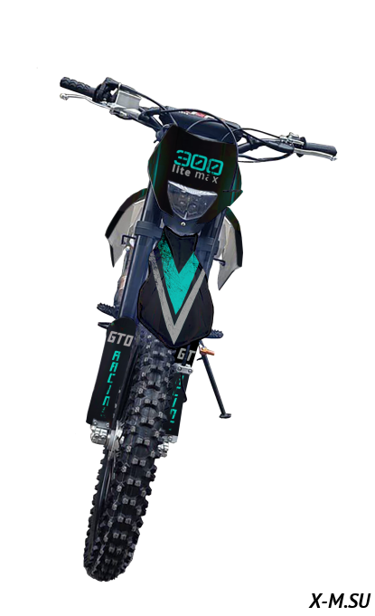 Кроссовый мотоцикл GTO Short Lite Max 300