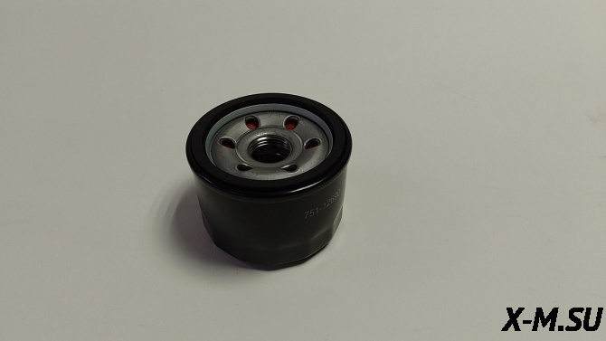 Фильтр масляный ZS GB620FE на IRBIS TUNGUS 600