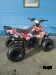 Квадроцикл RAPTOR 110