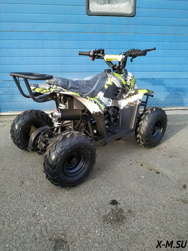 Квадроцикл RAPTOR 110