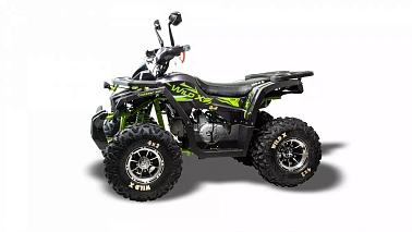 Квадроцикл MOTOLAND (МОТОЛЕНД) 125 WILD X PRO