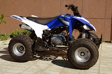 Квадроцикл MOTOLAND (МОТОЛЕНД) 150S